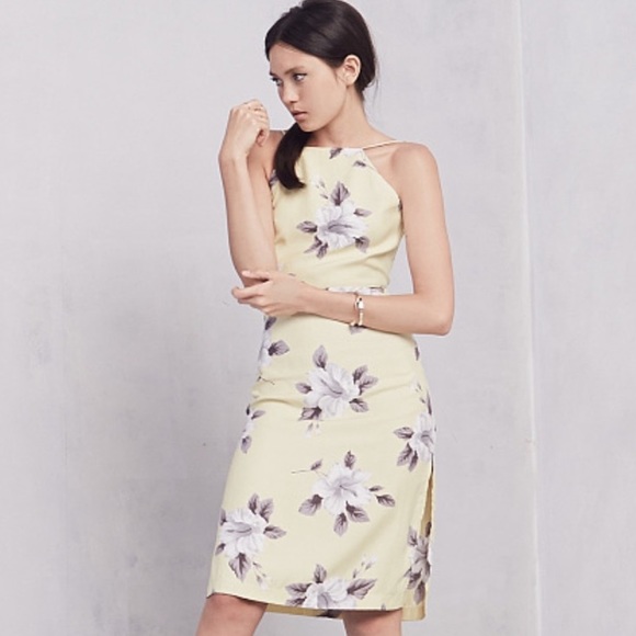 reformation backless dress